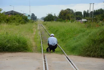 DSC_8784 (Large).JPG